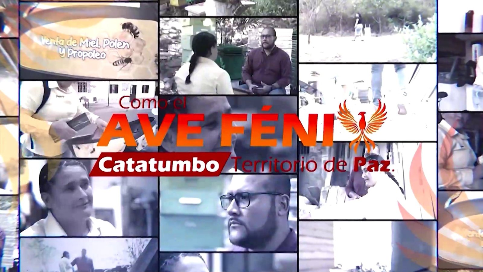 video-section-banner-image