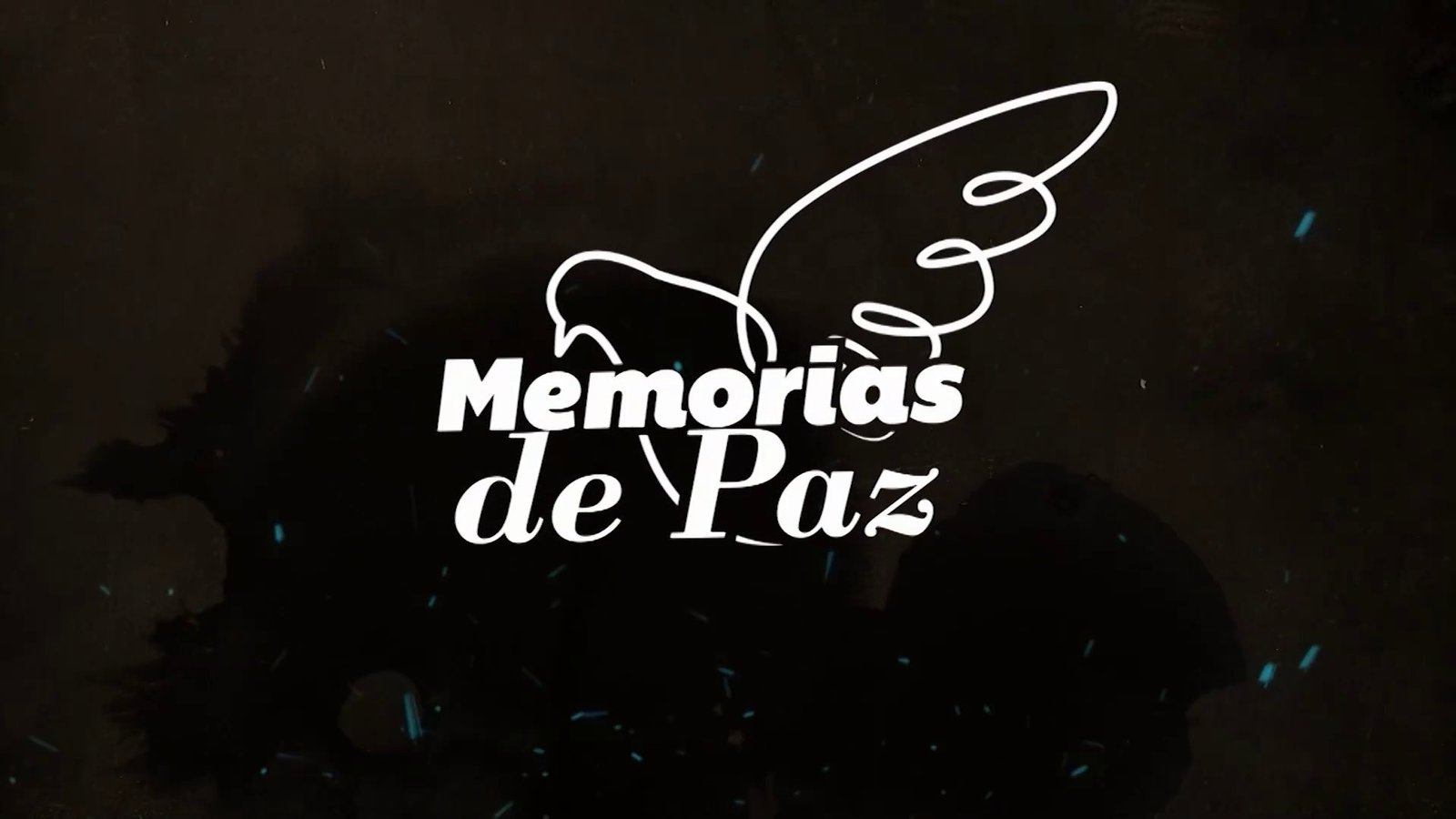 video-section-banner-image